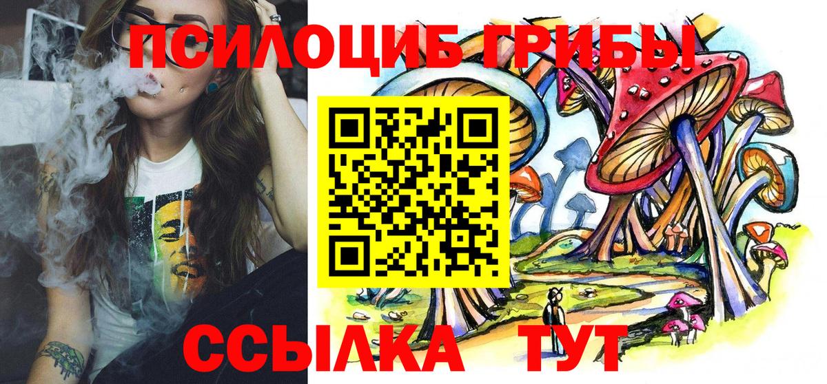 Псилоцибиновые грибы MAGIC MUSHROOMS Черкесск
