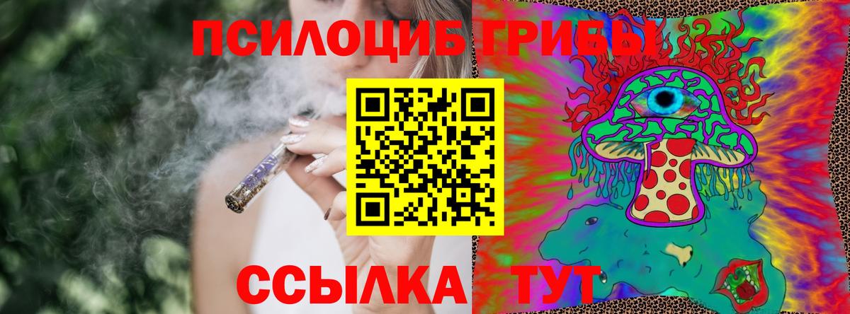 Черкесск  Галлюциногенные грибы мицелий  Вход с VPN 